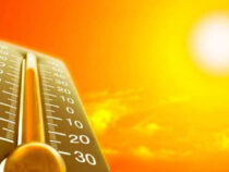 Очень жаркой будет наступившая неделя в Бишкеке