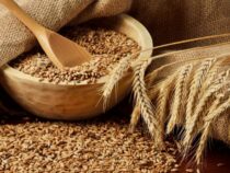 Фонд госматрезервов в этом году закупит у фермеров 40 тысяч тонн  пшеницы