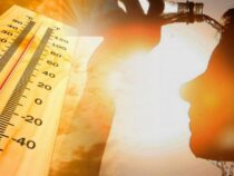 Июль 2023 года стал самым жарким месяцем за всю историю наблюдений