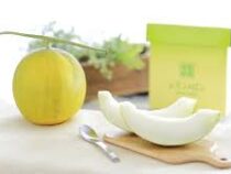 Японцы вырастили новый  фрукт — лимонную дыню