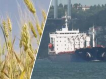 Россия приостановила участие в зерновой сделке