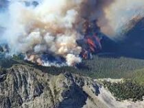 10 млн гектаров леса сгорело в Канаде