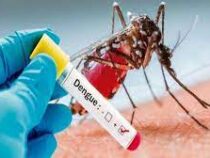 Минздрав Египта: выявленная лихорадка денге «заразна лишь в соцсетях»