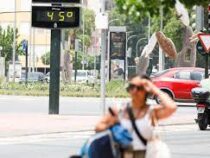 В Германии могут ввести сиесту из-за экстремальной жары