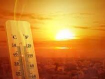 Июль 2023 года может побить температурный рекорд