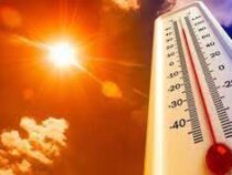 Ученые нашли объяснение адской жаре в США и Европе