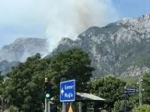 180 гектаров леса сгорело в результате пожара близ турецкого Кемера