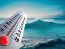 Температура морской воды во Флориде достигла рекордных 37 градусов
