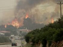 Лесные пожары в Греции: отели и рестораны сгорели Киотари