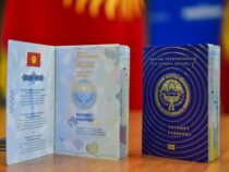 Кыргызстан улучшил позиции в глобальном индексе паспортов