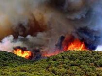Лесные пожары охватили курортный район в Хорватии