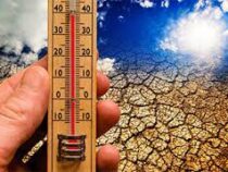 Новый температурный рекорд зафиксирован на Земле