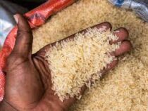 Индия может запретить около 80% экспорта риса