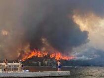 Лесные пожары в Турции подобрались вплотную к отелям