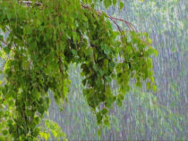 Сегодня жара в Бишкеке ослабнет, завтра обещают дождь