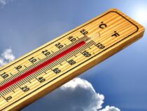 Аномальная жара в Кыргызстане сохранится до 19 июля