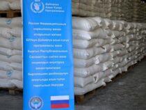 Кыргызстан получил 1 400 тонн гумпомощи из России