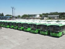 200 новых автобусов  прибывшие из Китая  выйдут на маршруты в Бишкеке в день знаний
