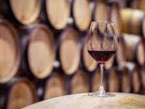 Во Франции уничтожат лишнее вино и сделают из него духи