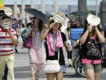 Устройства против жары изобрели в Японии