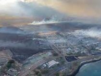 Власти Гавайев оценили потери от лесных пожаров в $6 миллиардов