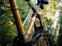 На Кубе начали использовать экологичные велосипеды из бамбука