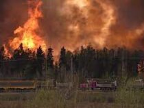 Массовую эвакуацию объявили в канадской провинции Альберта