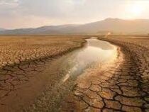 Засуха в Турции и влажность в Китае: последствия аномальной жары в мире