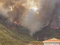 Пожар на испанском острове Тенерифе вышел из-под контроля