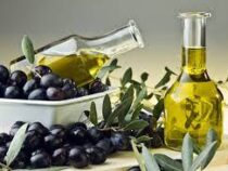 Турция приостановила экспорт оливкового масла
