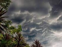 На Флориду надвигается ураган «Идалия»
