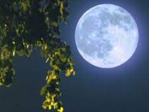 В августе жителей Земли ждет два чуда: суперлуние и голубая Луна