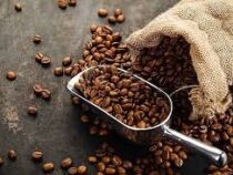 Производство кофе находится под угрозой в Индонезии