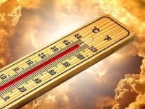 Температурный рекорд зафиксирован на юге Турции