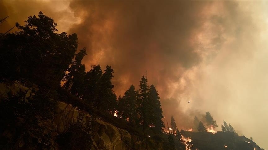 Горящие леса в США. Пожар леса масштаб. Лесные пожары в штате Техас с высоты. Пожар в Калифорнии 2018 Инстаграм.