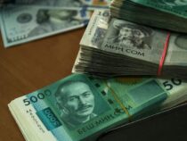 В Кыргызстане хотят усилить статус национальной валюты