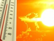Волна жары  накроет Бишкек на  этой неделе