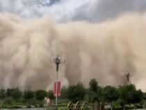 Аномальная жара и пыльная буря ожидаются сегодня в Чуйской области