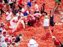 В Испании прошла традиционная битва помидорами