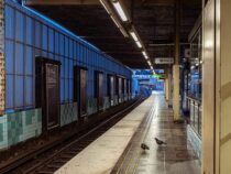 Движение в метро Стокгольма остановили из-за лося