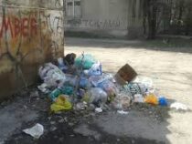 Бишкекчанам напомнили о штрафах за выброс мусора в неположенных местах