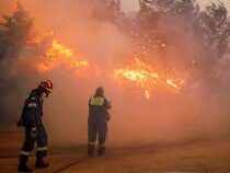 В Греции не могут взять под контроль лесные пожары