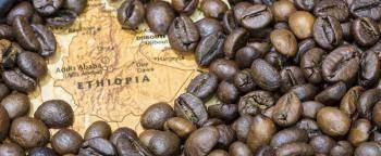Эфиопия запретила вывоз кофе из страны в любом виде и количестве