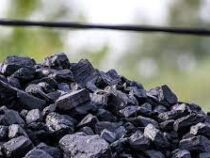 549 точек по продаже угля будет открыто в Кыргызстане в этом году