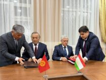 Кыргызстан и Таджикистан согласовали еще почти 14 км госграницы