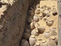 В Египте раскопали кувшины с вином, которому 5000 лет