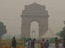 Оплата за парковку подорожала из-за качества воздуха в Нью-Дели