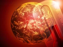 2023 год может быть самым теплым за последние 125 тысяч лет