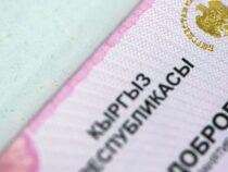 В Кыргызстане продлен срок действия патентов