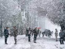 Снежные бури обрушились на несколько регионов Китая